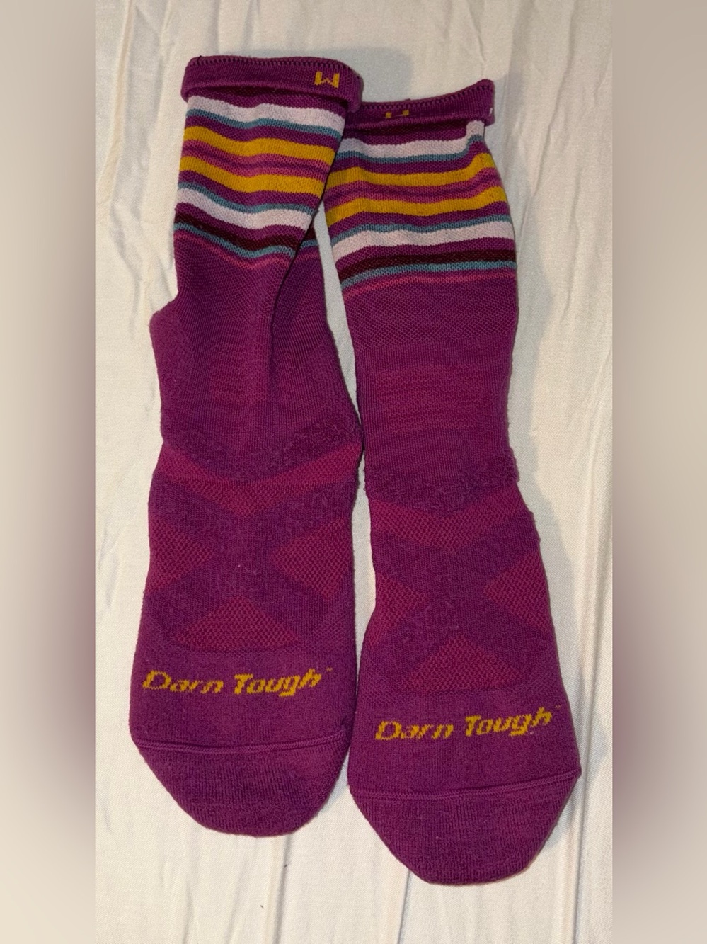Darn Tough Women’s Purple Striped Crew Socks Size M